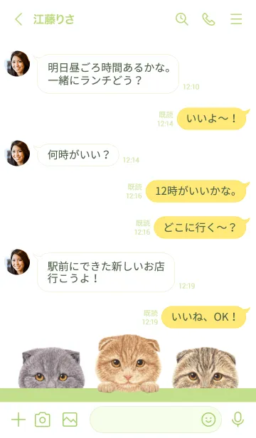 [LINE着せ替え] 猫 -スコティッシュフォールド- 白×黄緑色の画像4