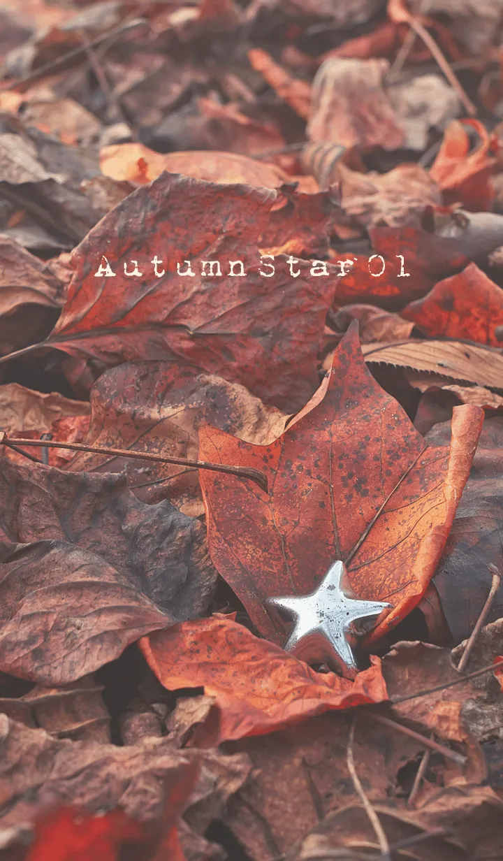 [LINE着せ替え] AutumnStar 01の画像1