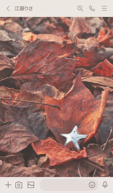 [LINE着せ替え] AutumnStar 01の画像3