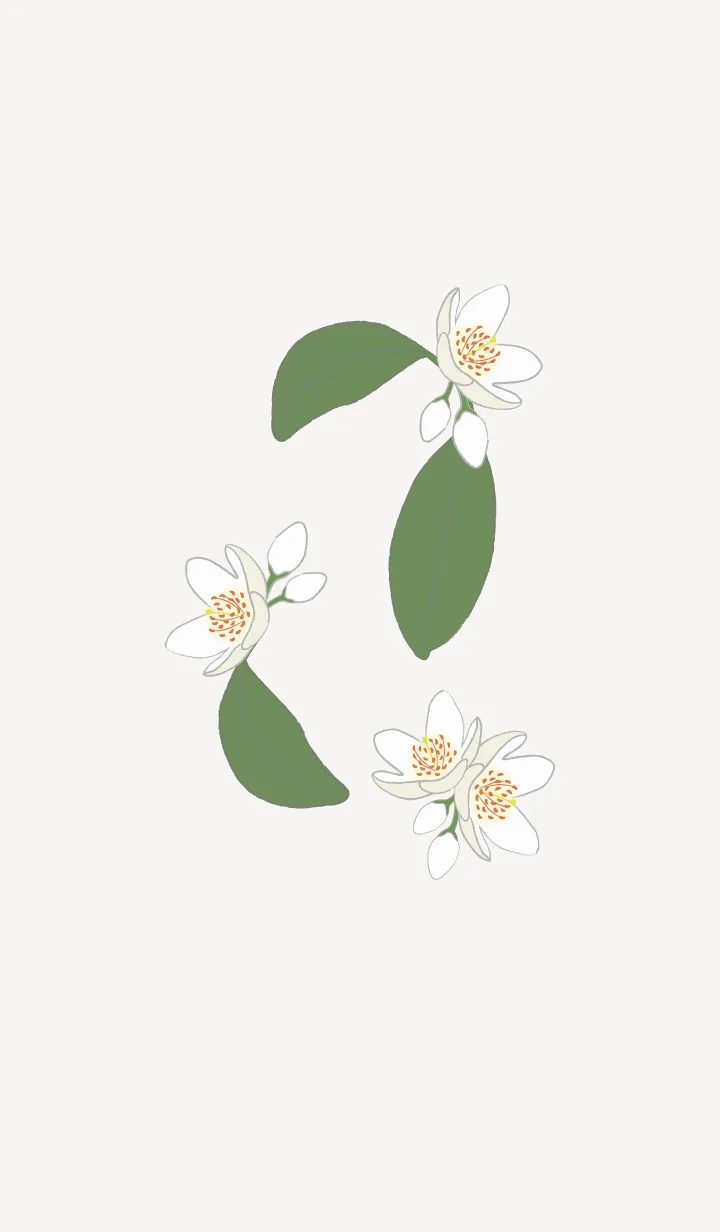 [LINE着せ替え] 白い花＊榊 ベージュの画像1