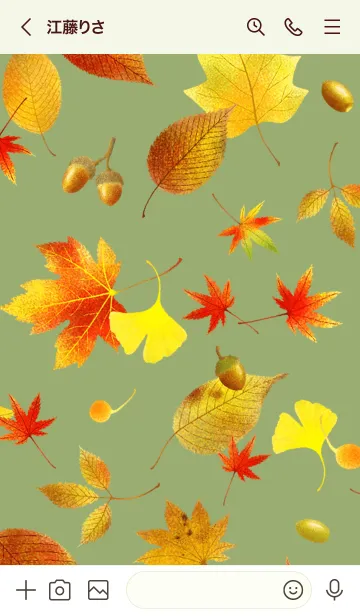 [LINE着せ替え] 落ち葉〈秋の森〉の画像3