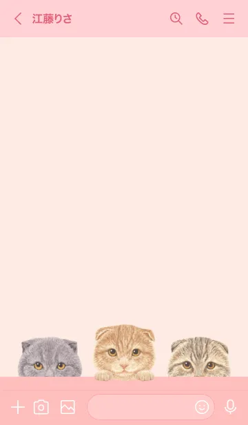 [LINE着せ替え] 猫 - スコティッシュ - 桜 ピンクの画像3