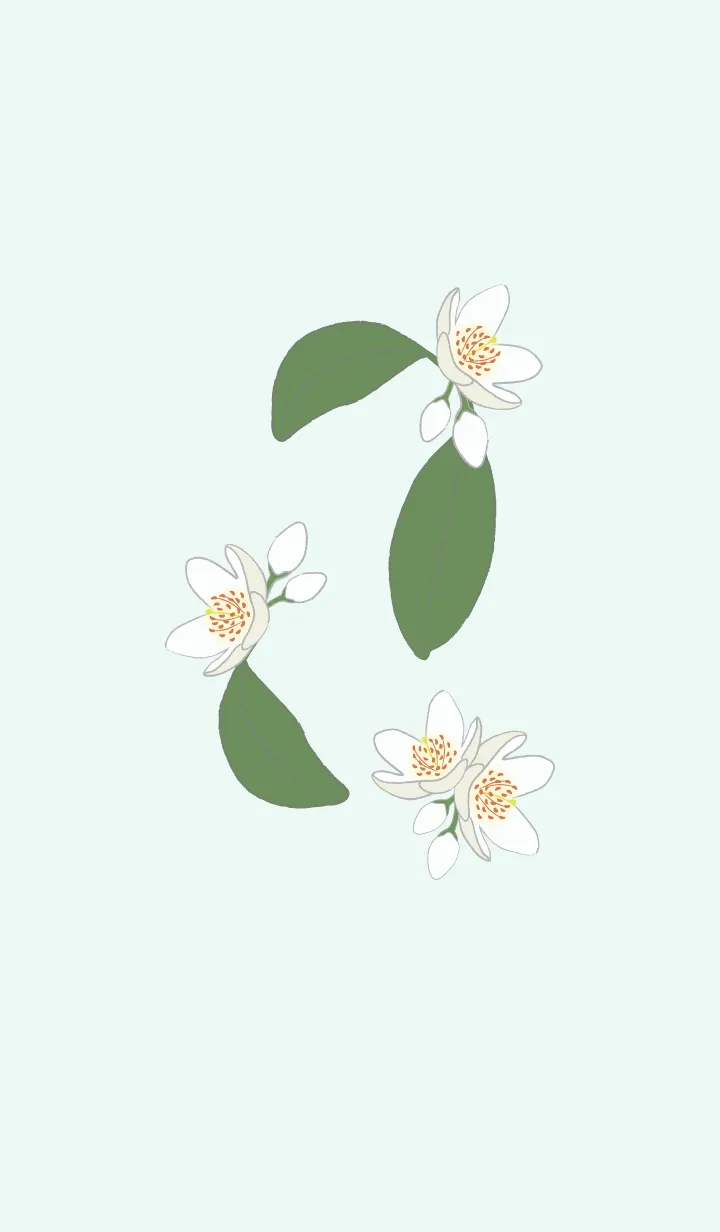 [LINE着せ替え] 白い花＊榊 ミントグリーンの画像1