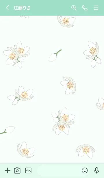 [LINE着せ替え] 白い花＊榊 ミントグリーンの画像3