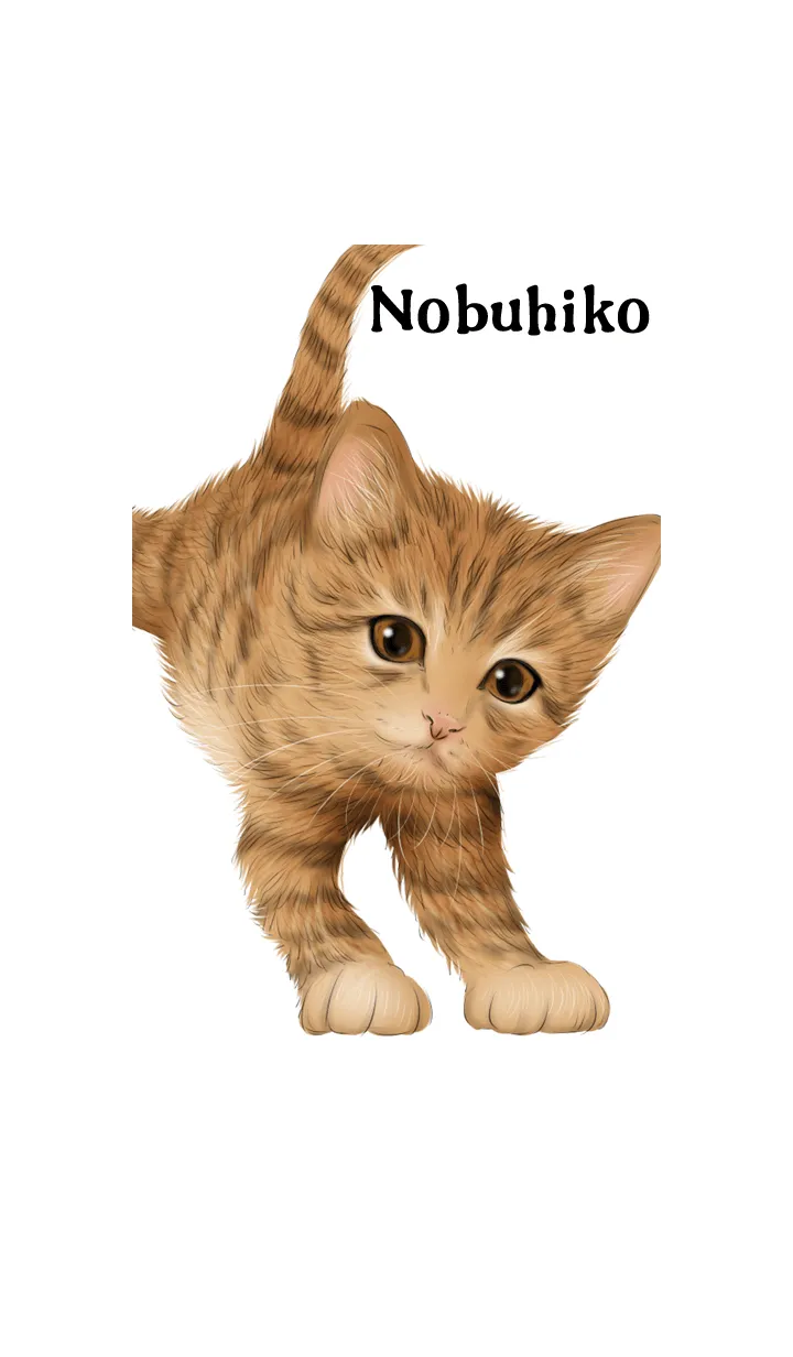 のぶひこ用可愛い虎猫子猫の着せ替えメイン画像