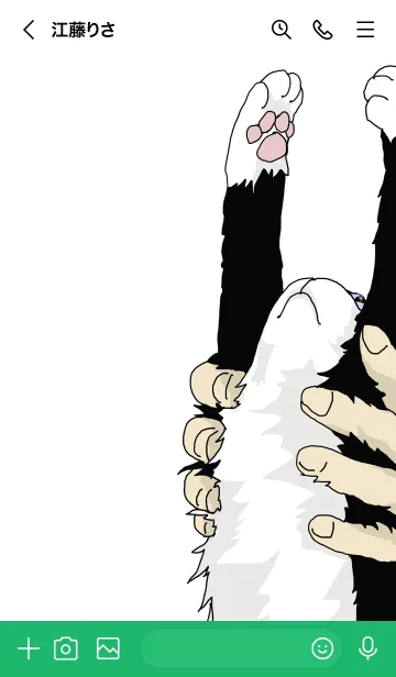 [LINE着せ替え] 猫会議 Bの画像3