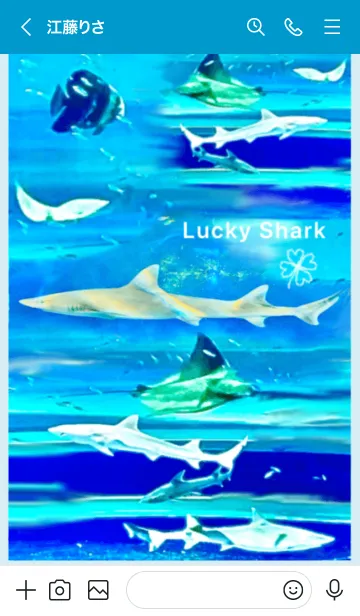 [LINE着せ替え] 幸運の鮫 全運気上昇 Lucky Sharkの画像3