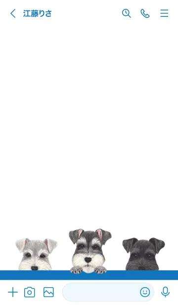 [LINE着せ替え] ワンワン - シュナウザー - 白×青色の画像3