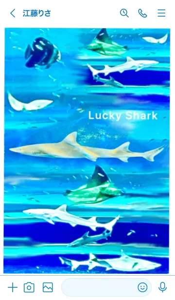 [LINE着せ替え] 幸運の鮫 Lucky Shark 全運気上昇の画像3