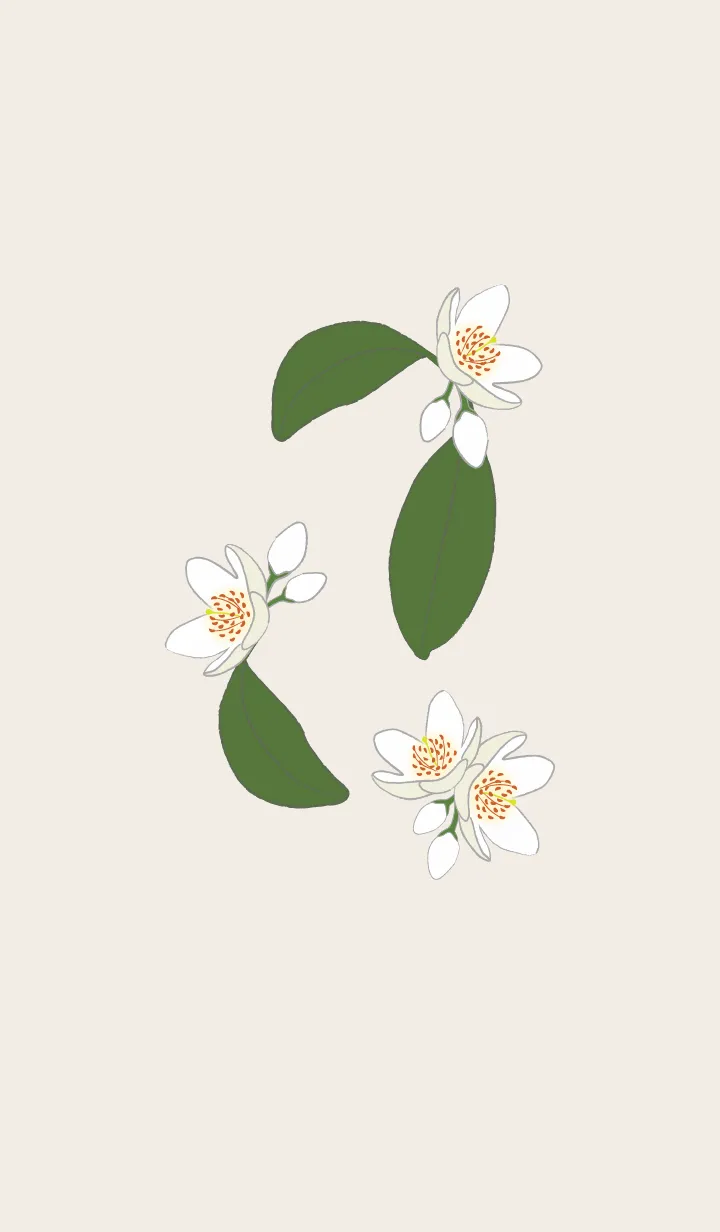 [LINE着せ替え] 白い花＊榊 パステルマロンの画像1
