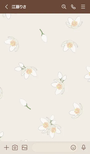[LINE着せ替え] 白い花＊榊 パステルマロンの画像3