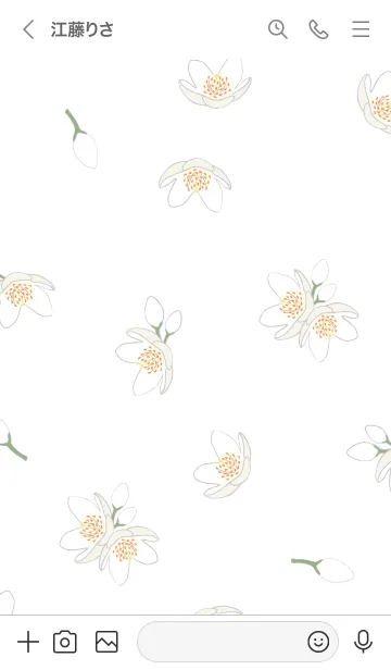 [LINE着せ替え] 白い花＊榊 ホワイトの画像3