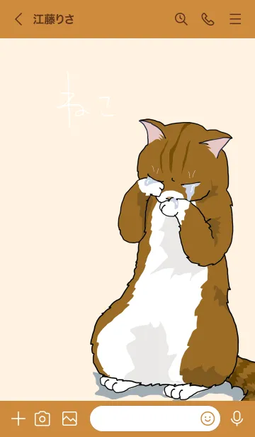 [LINE着せ替え] 猫会議 Cの画像3