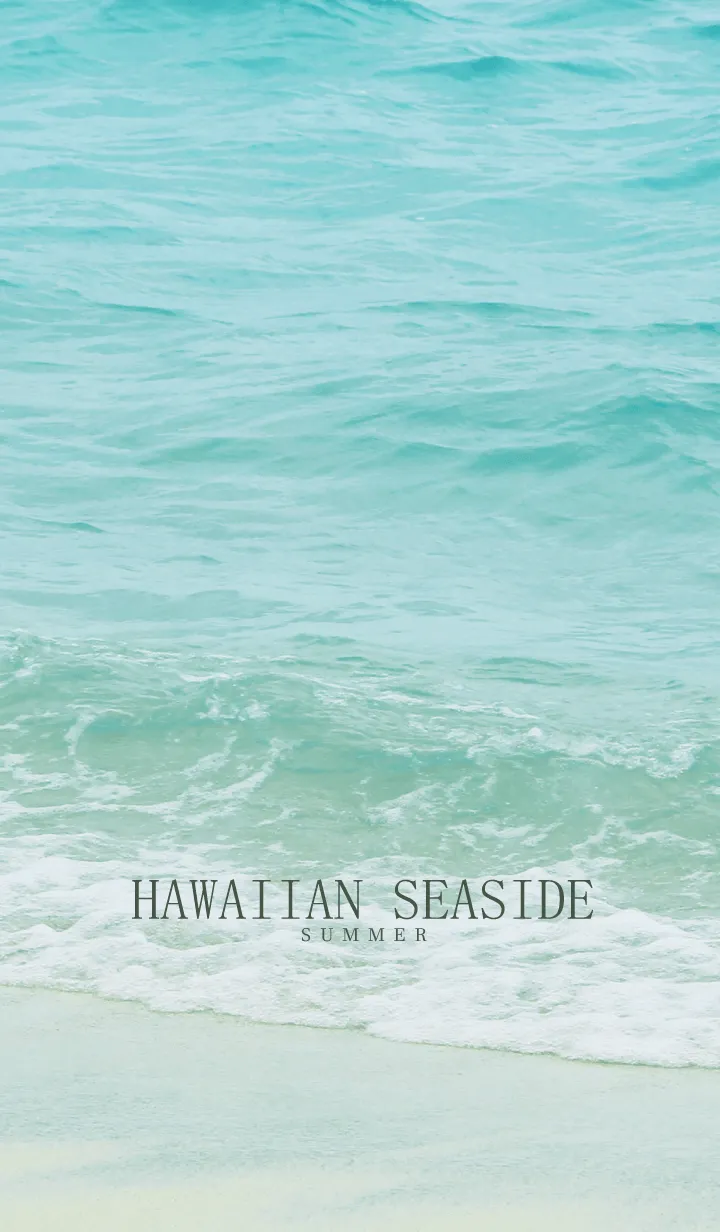 [LINE着せ替え] HAWAIIAN SEASIDE-MEKYM 38の画像1