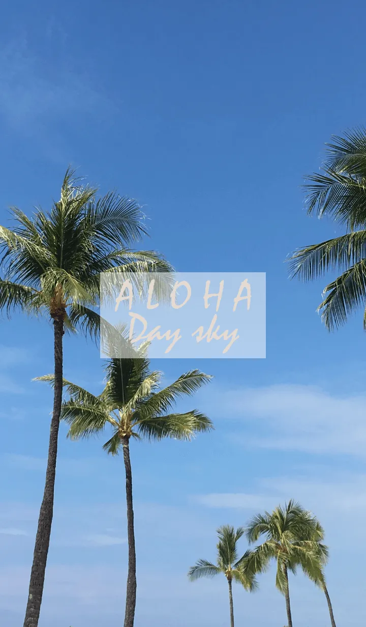 [LINE着せ替え] ALOHA Day Sky 5の画像1