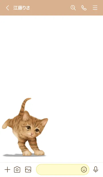 [LINE着せ替え] ひなと用可愛い虎猫子猫の画像3