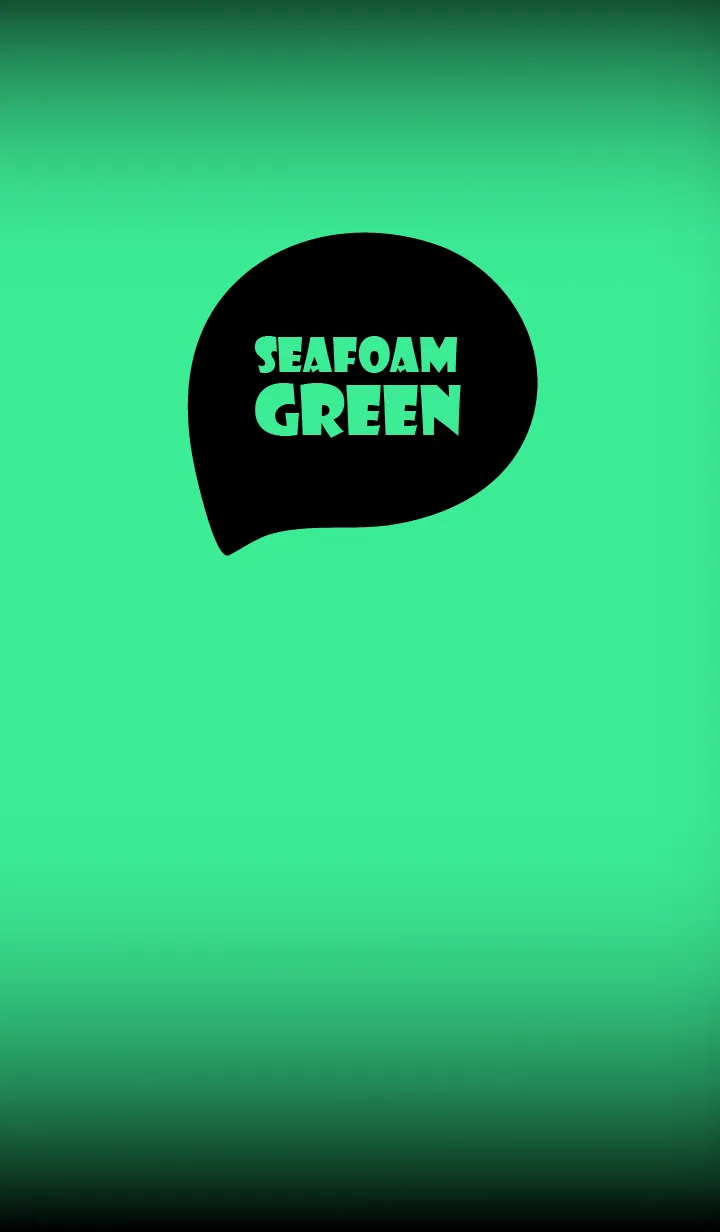 [LINE着せ替え] Seafoam  Green And Black Vr.10 (JP)の画像1