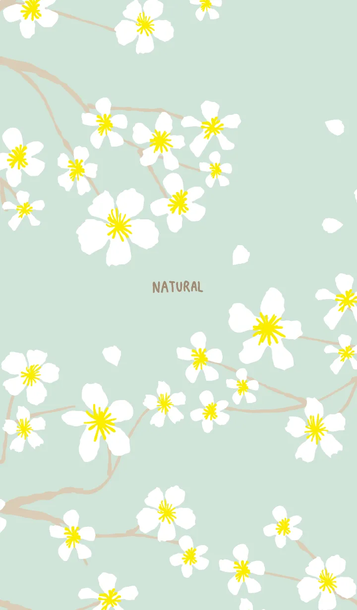 [LINE着せ替え] 白い花咲く グリーン2の画像1