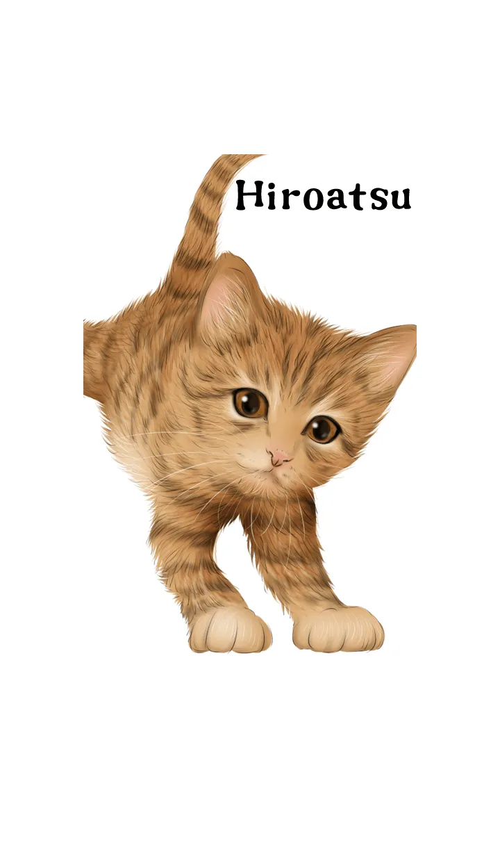 [LINE着せ替え] ひろあつ用可愛い虎猫子猫の画像1