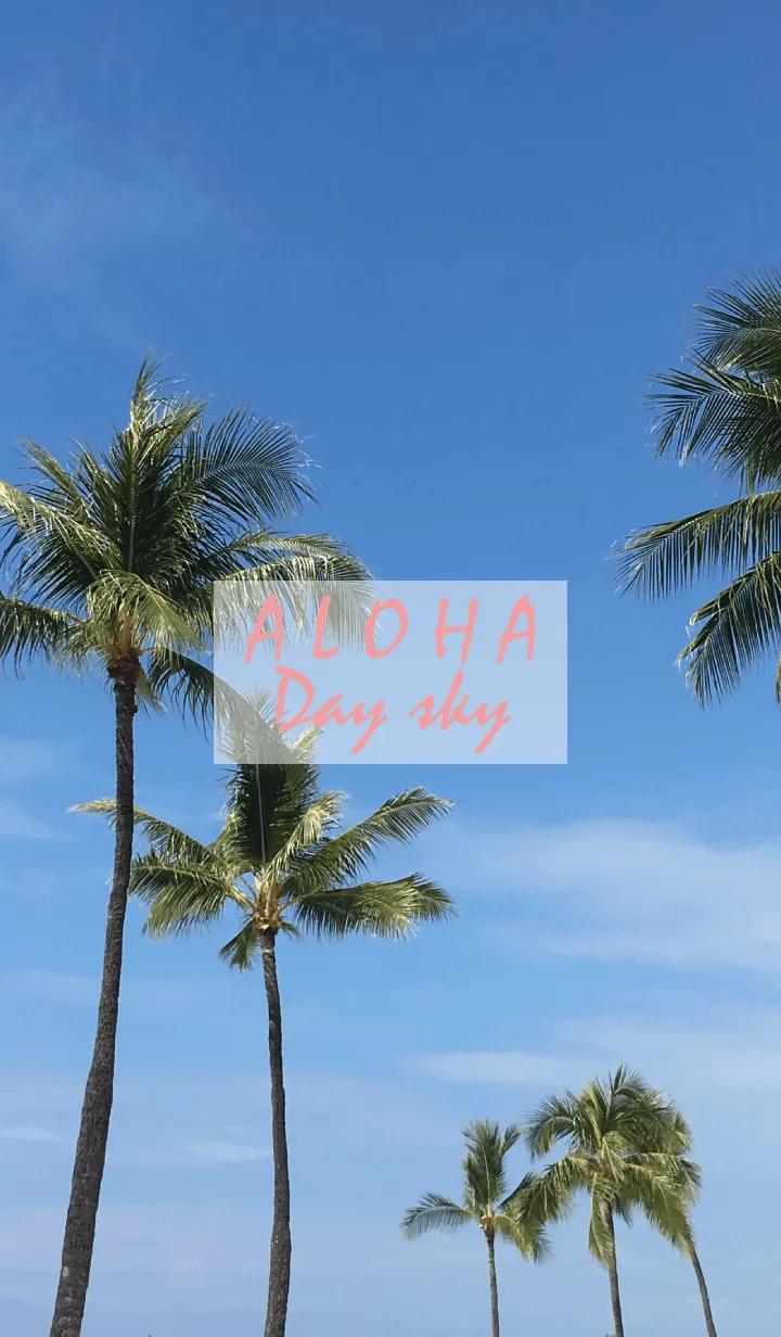 [LINE着せ替え] ALOHA Day Sky 10の画像1