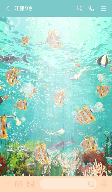 [LINE着せ替え] がくし用☆珊瑚と熱帯魚の夏の着せかえの画像3