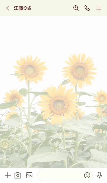 [LINE着せ替え] sunflower_03の画像3