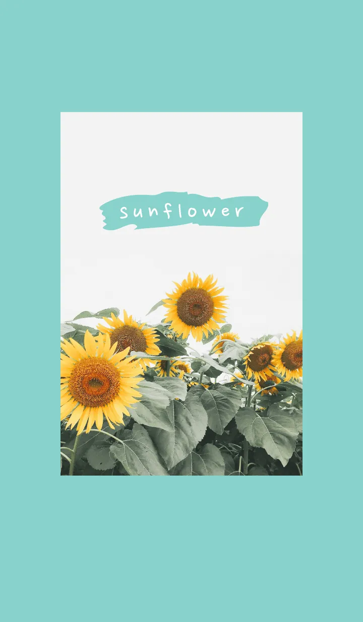 [LINE着せ替え] sunflower_02の画像1