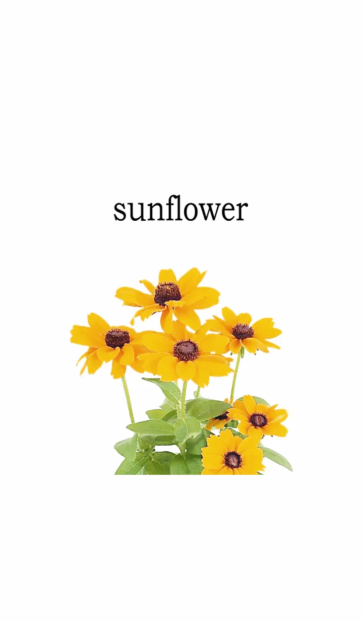 [LINE着せ替え] 幸せハッピーひまわり・1の画像1