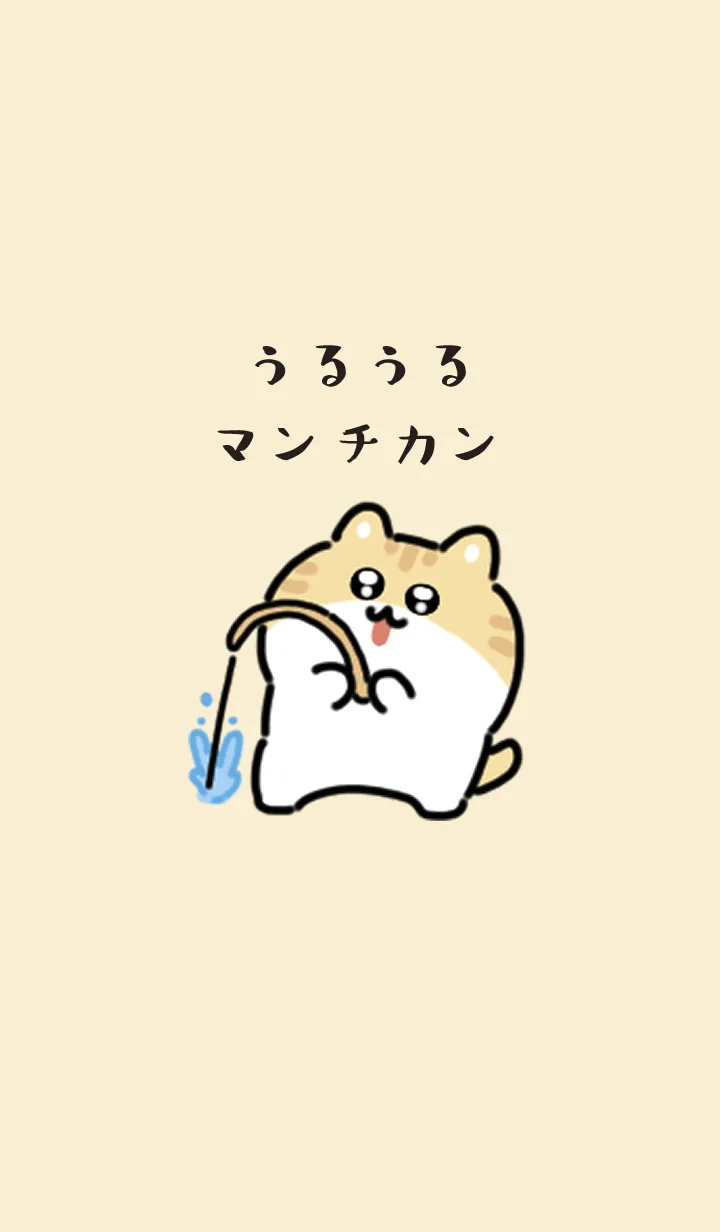 [LINE着せ替え] うるうるマンチカンの着せかえの画像1