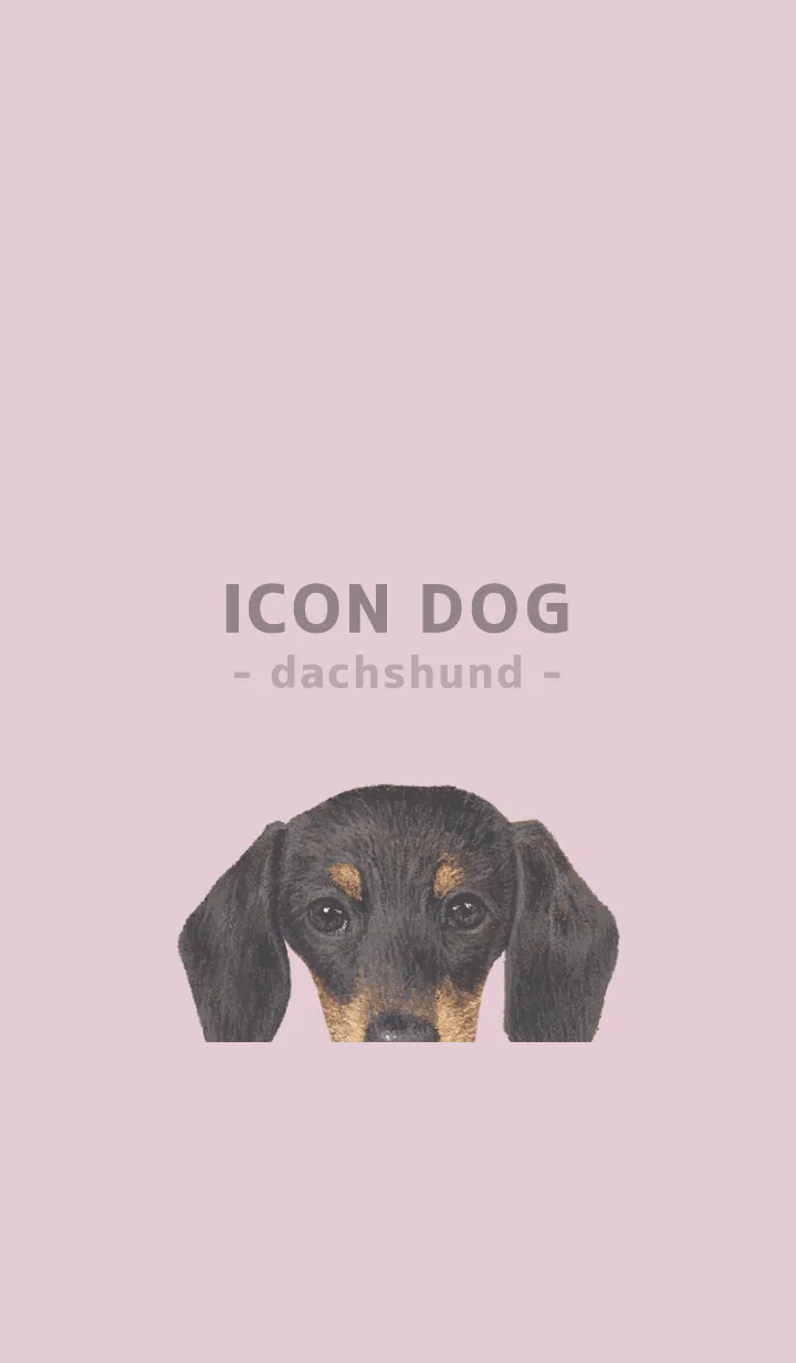 [LINE着せ替え] ICON DOG - ダックスフンド - PASTEL PK/01の画像1