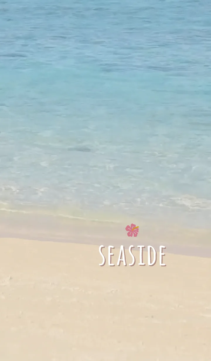 [LINE着せ替え] 海辺 ハイビスカス'ブラウン'の画像1