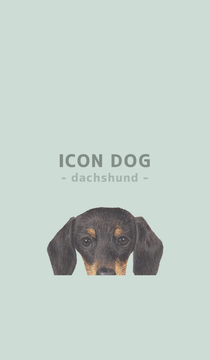 [LINE着せ替え] ICON DOG - ダックスフンド - PASTEL GR/01の画像1