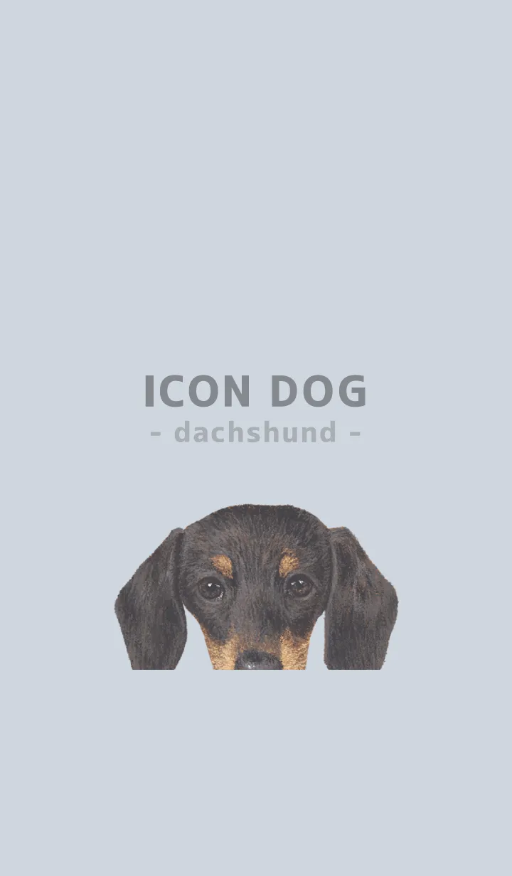 [LINE着せ替え] ICON DOG - ダックスフンド - PASTEL BL/01の画像1