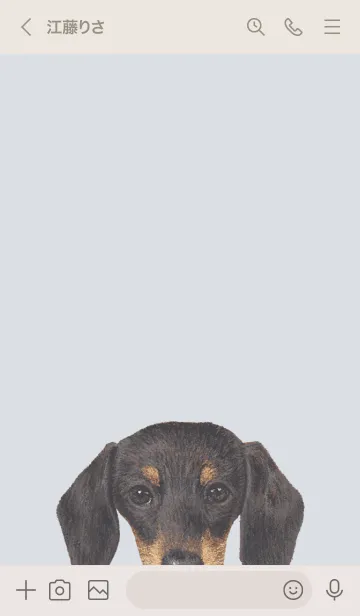 [LINE着せ替え] ICON DOG - ダックスフンド - PASTEL BL/01の画像3