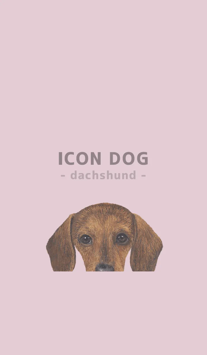 [LINE着せ替え] ICON DOG - ダックスフンド - PASTEL PK/02の画像1