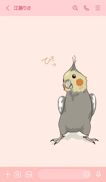 [LINE着せ替え] オカメインコ作戦の画像3