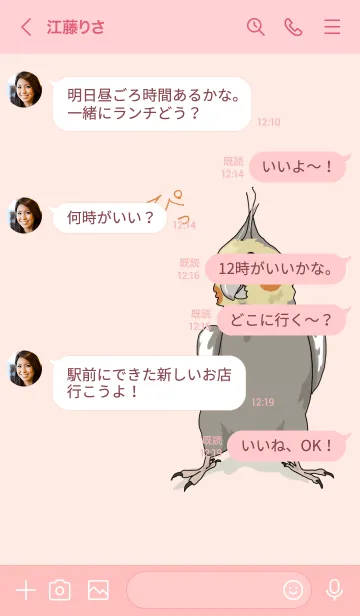 [LINE着せ替え] オカメインコ作戦の画像4