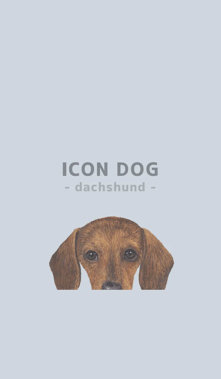 [LINE着せ替え] ICON DOG - ダックスフンド - PASTEL BL/02の画像1