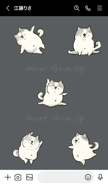 [LINE着せ替え] Dancing Cat-Never Give Up！の画像3