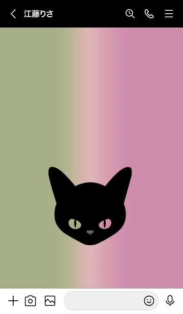 [LINE着せ替え] ブラック キャット 38の画像3