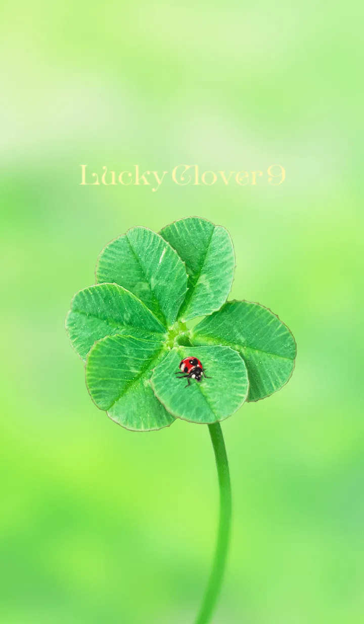 [LINE着せ替え] LuckyClover9の画像1