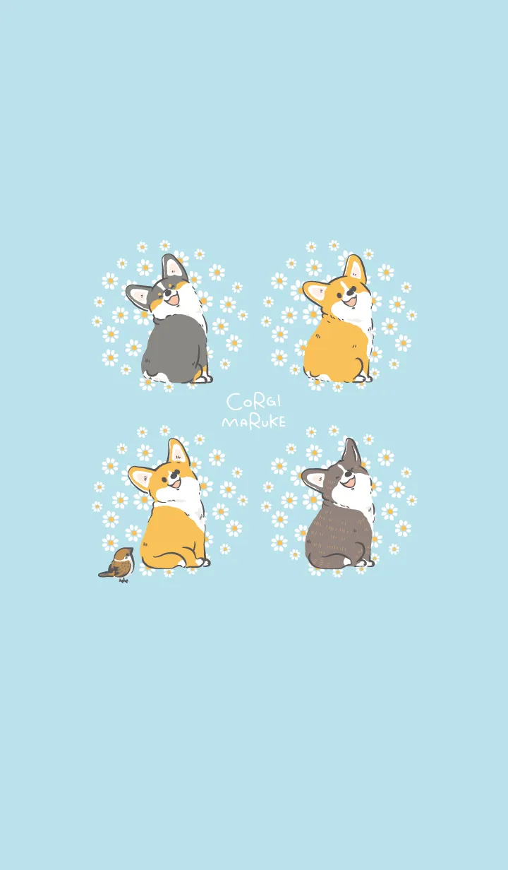 [LINE着せ替え] コギまるけ(ニコニコーギーとスズメ)の画像1