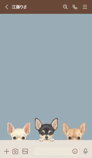 [LINE着せ替え] ワンワン！- チワワ - ダスティブルーの画像3