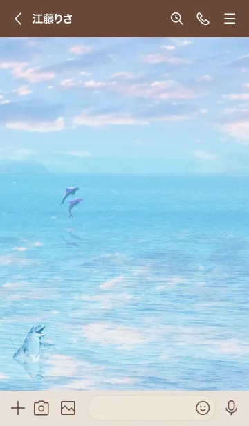 [LINE着せ替え] Sky and sea 幸運のイルカ2の画像3