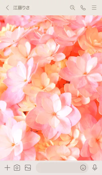 [LINE着せ替え] AJISAI-Flower 19の画像3