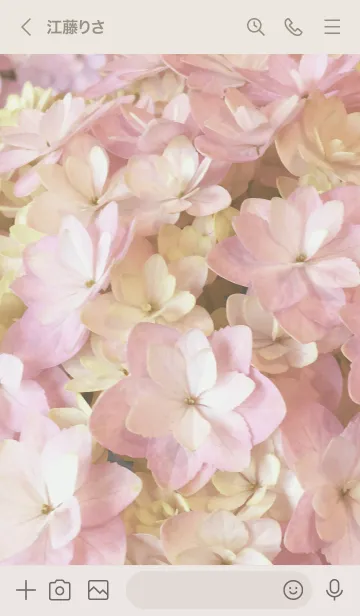 [LINE着せ替え] AJISAI-Natural Flower 7の画像3