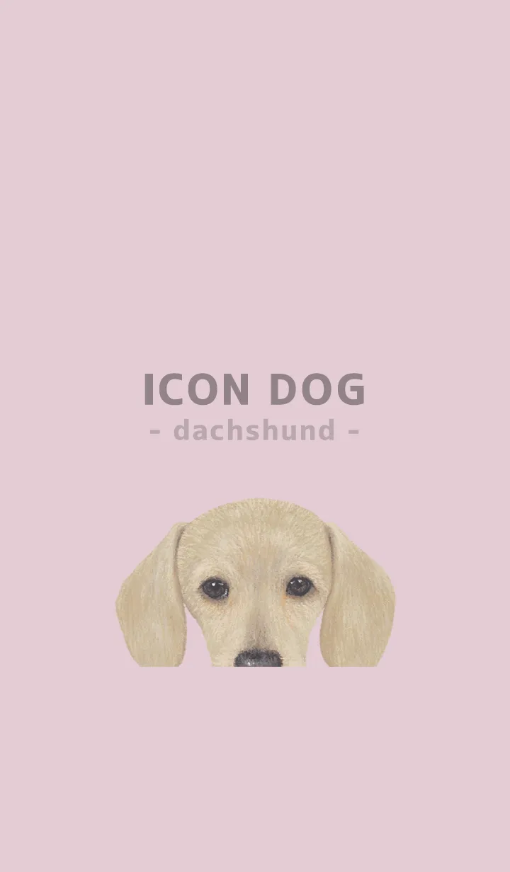 [LINE着せ替え] ICON DOG - ダックスフンド - PASTEL PK/03の画像1