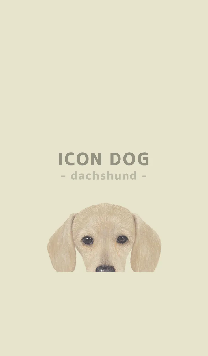 [LINE着せ替え] ICON DOG - ダックスフンド - PASTEL YE/03の画像1