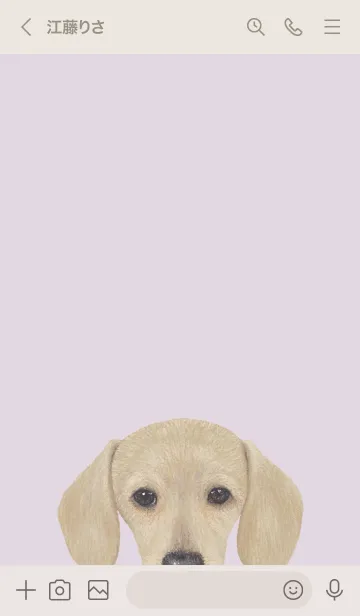 [LINE着せ替え] ICON DOG - ダックスフンド - PASTEL PL/03の画像3