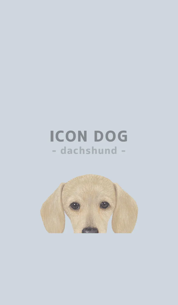 [LINE着せ替え] ICON DOG - ダックスフンド - PASTEL BL/03の画像1